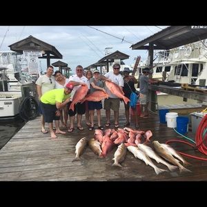 Meet your Posher, Dalton